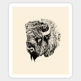 Bison head Sticker